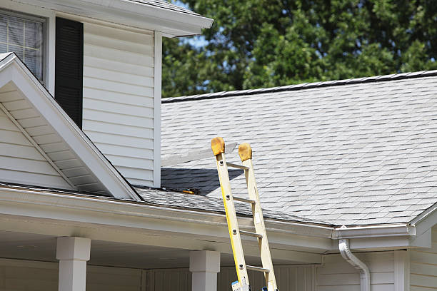 Shed Removal in Shady Hills, FL